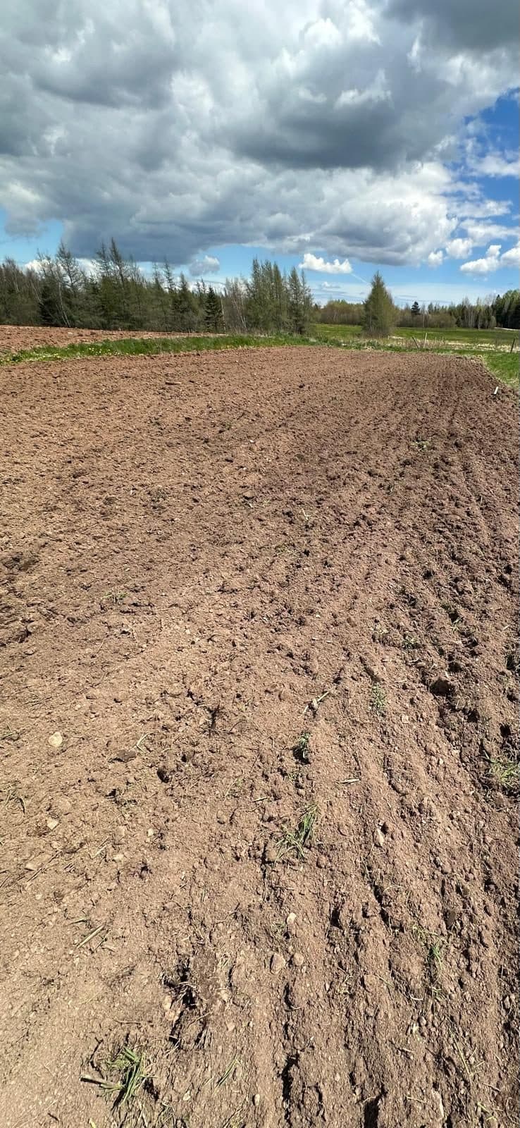 Furrows of turned soil, after the plough has gone through.